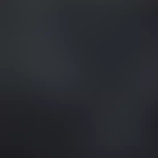 Farben von Fertiggaragen Graphit (Anthrazit) <br /> RAL 7016